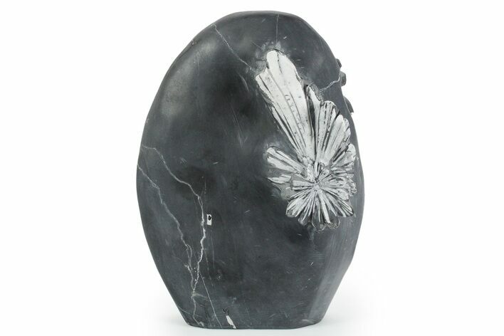 Polished Free-Standing Chrysanthemum Stone - China #352124